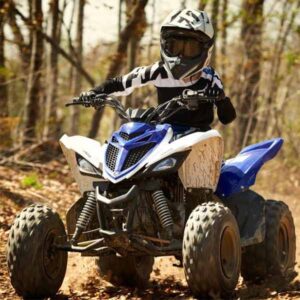 Usadosenventa.cl | ATV Yamaha 2017 Raptor 90